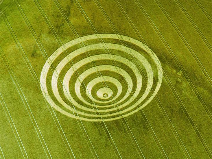 ZIELEŃ - Cissbury Rings, England, 1995.jpg