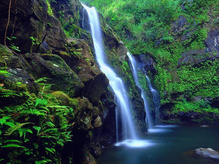 Stany Zjednoczone - Island Falls, Maui, Hawaii1600x1200.jpg