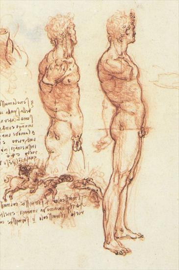 Szkice Leonarda da Vinci - studyof_man.jpg