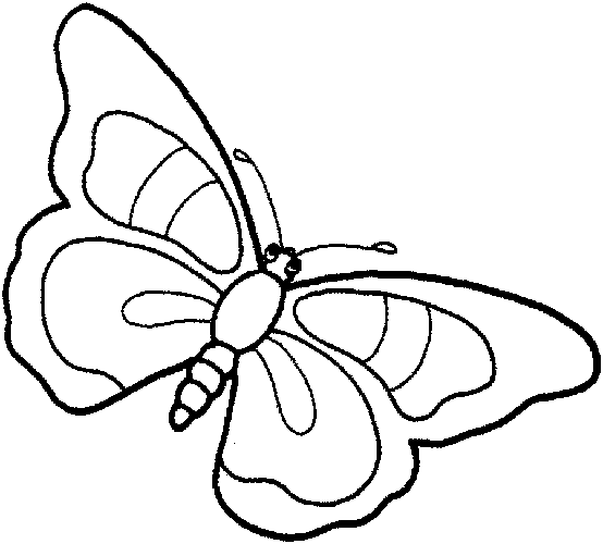 Motyle gąsienice - motyle - kolorowanka 2.gif