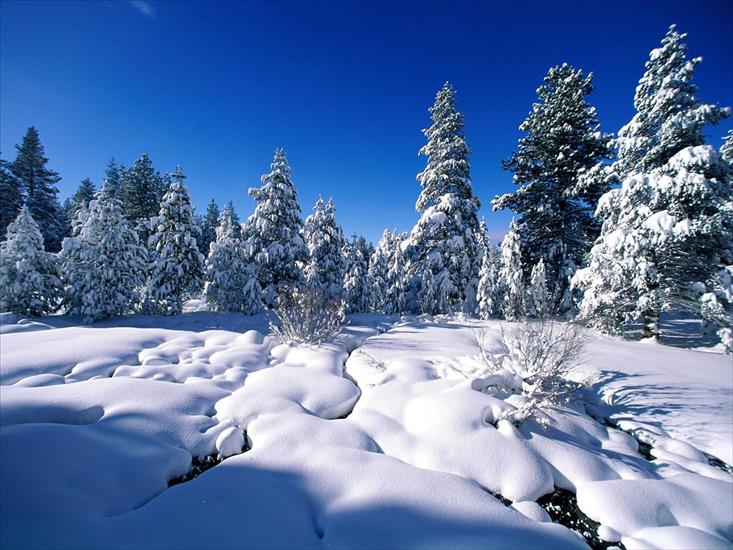 Zima - winter 193.jpg