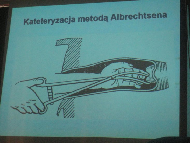 ROZRÓD ĆW ZASADY BADANIA GINEKOLOGICZNEGO KROWY I KLACZY zdjęcia - 2009.10.13 ROZRÓD ĆW WAŻŻŻNE 72.JPG