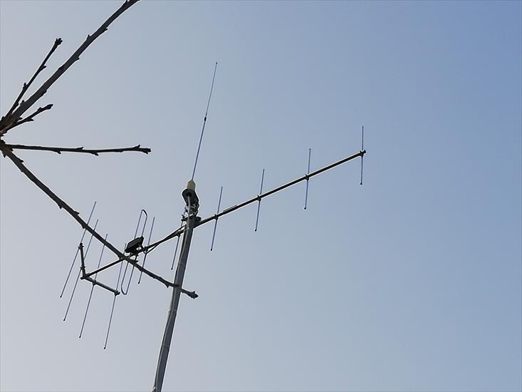 DIPOL 11.5-12 VHF - IMG_20210223_155256.jpg