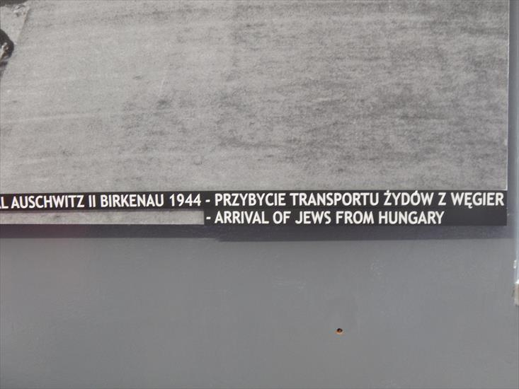 KL Auschwitz-Birkenau - 18.JPG