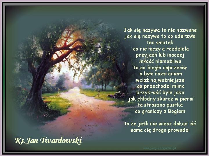 Twardowski Jan - Tw-jaksienazywa.jpg