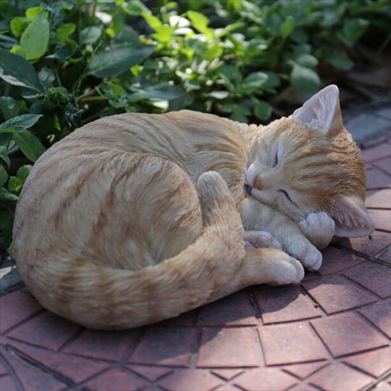 Rude - orange-tabby-cat-lying-and-sleeping-statue.jpg
